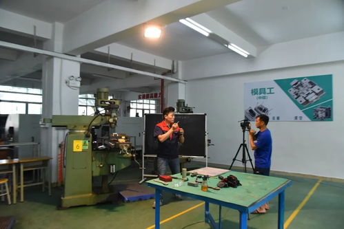 創(chuàng)新培訓服務企業(yè) 寶山技工全面啟動企業(yè)適崗培訓工作，聚焦信息技術咨詢服務