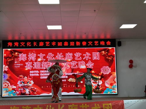 市文促會(huì)海灣文化長(zhǎng)廊藝術(shù)團(tuán)舉辦喜迎新春文藝晚會(huì)